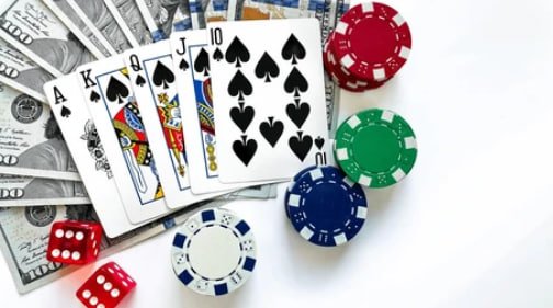 nn55bet